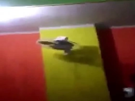 Gujarati Pornstar Kavya Untammed Sexual Desire hot girls indian xxx videos