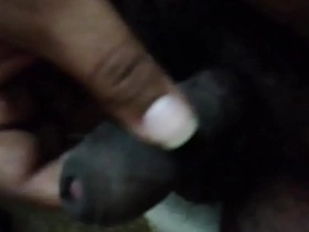 Sex in bihar kochas wwwsixy