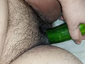 Cucumber and Dildo drub for replica penetration in ass and pussy research of bbw broad in the beam hot indian wife in clear hindi audio wwe raw xxxxx