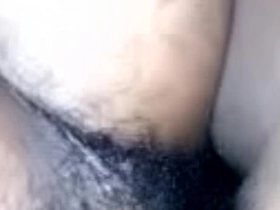 Indian bhabhi sex brown kudi punjabi xxx viral video