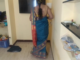 Housewife Romance with Pattu Saree
