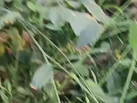 Once Many times the Brother-in-law Fucked the New Sister-in-law in the Mustard Field.outdoor Sexual congress