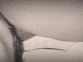 Pussy Mouth Carnal knowledge XXX