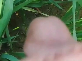 Social Experiment XXX: Random Guy Licks My Pussy Outdoors